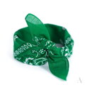 Classic cotton scarf BANDANA SZ13014 Art of Polo