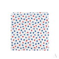 Classic colorful scarf BANDANA SZ13914 Art Of Polo