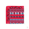 Classic colorful scarf BANDANA SZ13914 Art Of Polo