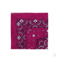 Classic colorful scarf BANDANA SZ13914 Art Of Polo