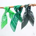 Classic cotton scarf BANDANA SZ13014 Art of Polo