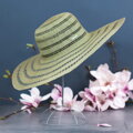 Transparent hat CZ18169 Art Of Polo