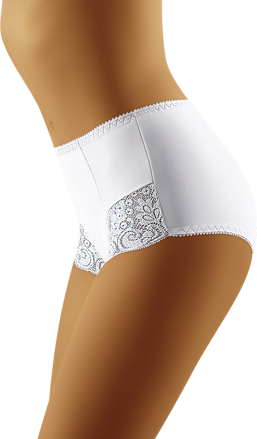 Modeling briefs CORECTA Wolbar
